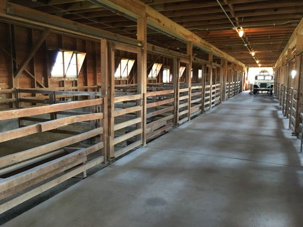 Barn Floor Pouring in Fort Mill